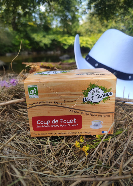 Infusion Bio: Coup de Fouet